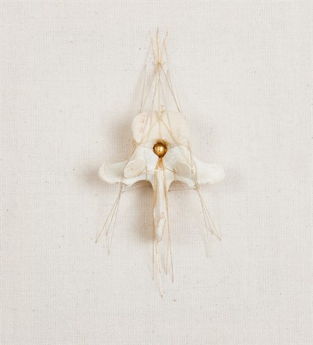 Rozanne Hawksley, Look on small beautiful things VII Rozanne Hawksley,Look on small beautiful things I, 2008-13, Stitched bone assemblage
H130 x W115 x D20 mm