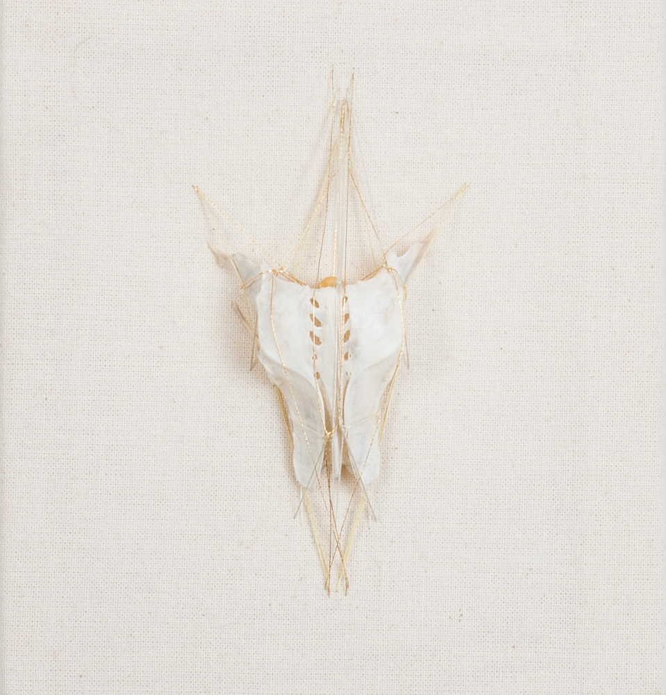 Rozanne Hawksley, Look on small beautiful things VII, 2008-13, Stitched bone assemblage, H130 mm x W120 mm x D20 mm. Rozanne Hawksley, Textile Artist Online Magazine