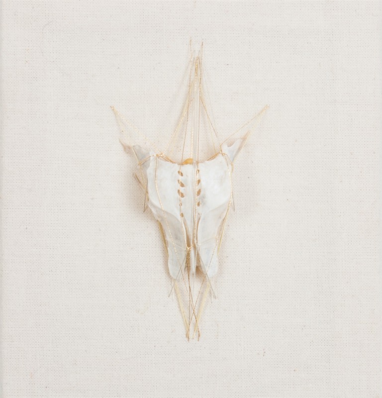 Rozanne Hawksley, Look on small beautiful things Rozanne Hawksley Look on small beautiful things VII, 2008-13
Stitched bone assemblage
H130 x W120 x D20 mm