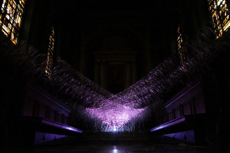 Order vs Chaos, Alexandra Carr Alexandra Carr, experimental artist, interdisciplinary, nature, installation, sculpture, kinetic works, drawing, photography, video, new media, intersection of art, science, nature, technology