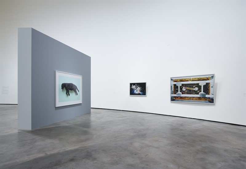 Nature and Politics Thomas Struth, retrospective Guggenheim Museum Bilbao