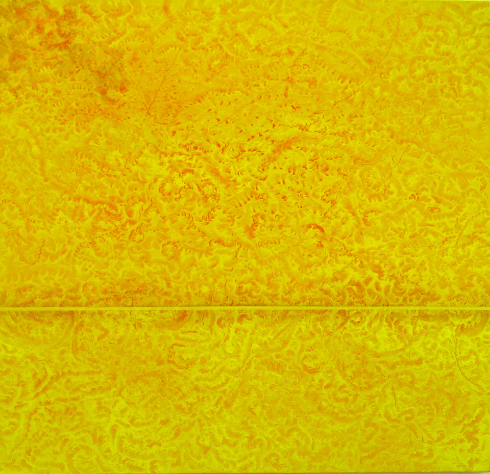The Secret Life of Seams and Borders, painting Pip Dickens
