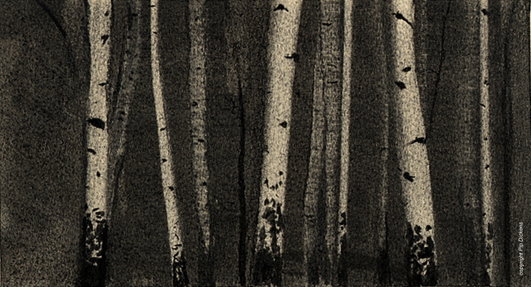 The Power of Art #97 Pip Dickens ‘Silver Birch’