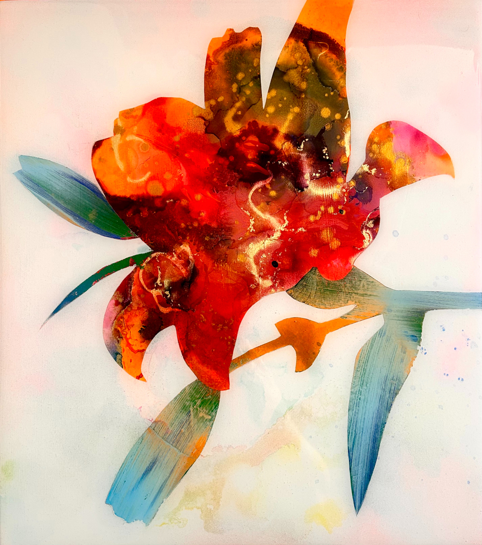 Invented Botanicals - Warren King - Artist in Focus - June 2026
