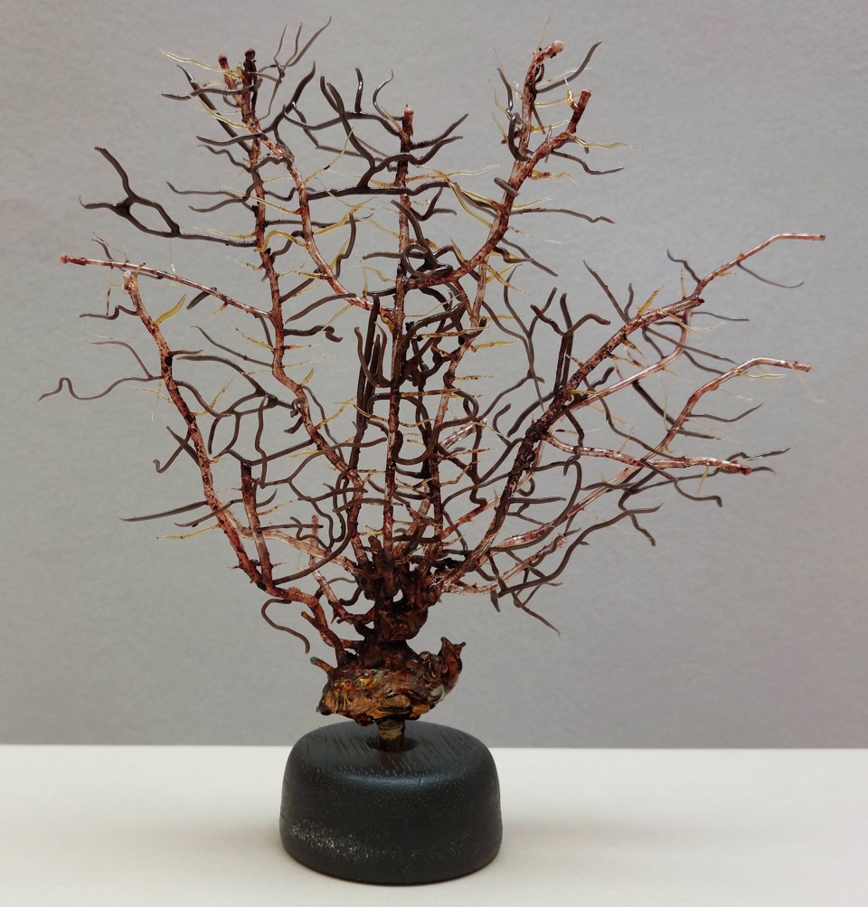 Pamela Schilderman, Gorgonium sapianum, (Gorgonian black fan coral) 2023, glass, blood and methanol, H310 mm x W310 mm x D190 mm. The Power of Art #112 Pamela Schilderman ‘Gorgonium sapianum’